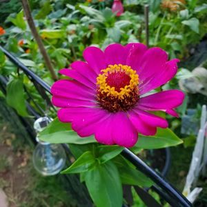 Meet your Posher, Terri